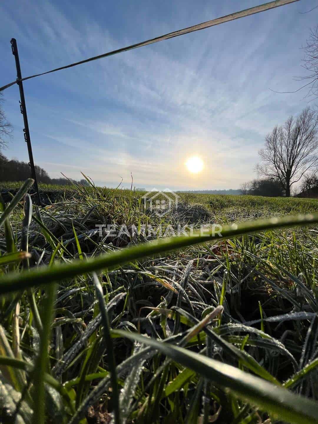 Die Sonne geht über einer Wiese unter.
